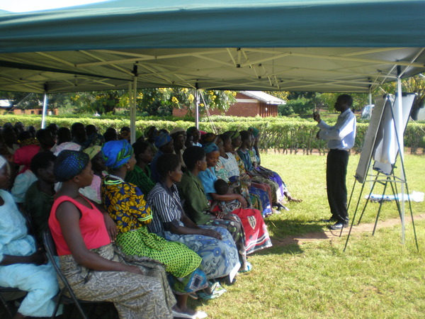Entrepreneurship Training Session